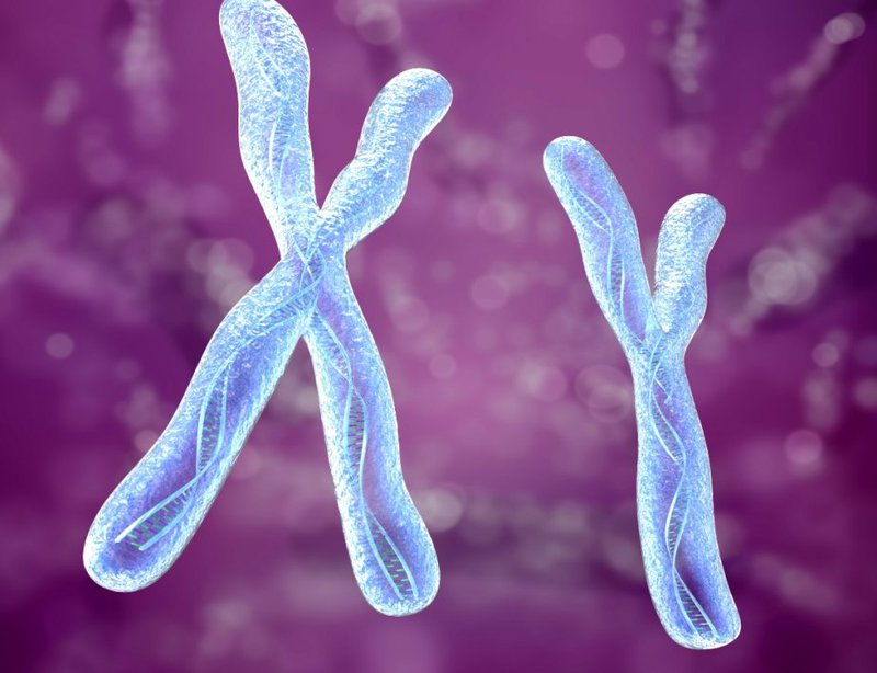 Đột biến gen WAS trên nhiễm sắc thể X không chỉ gây ra WAS cổ điển mà còn gây ra giảm tiểu cầu liên kết X